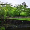小雨の掛川城