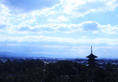 奈良景色